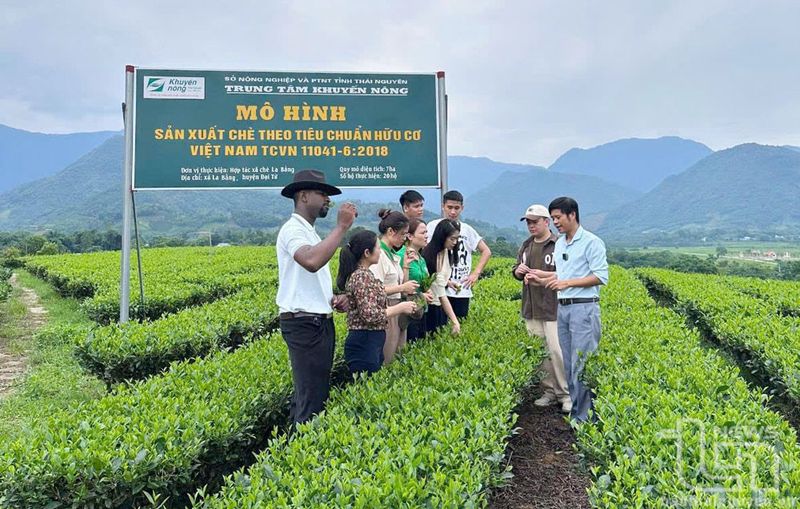 Phát triển du lịch đại tu vùng nông thôn