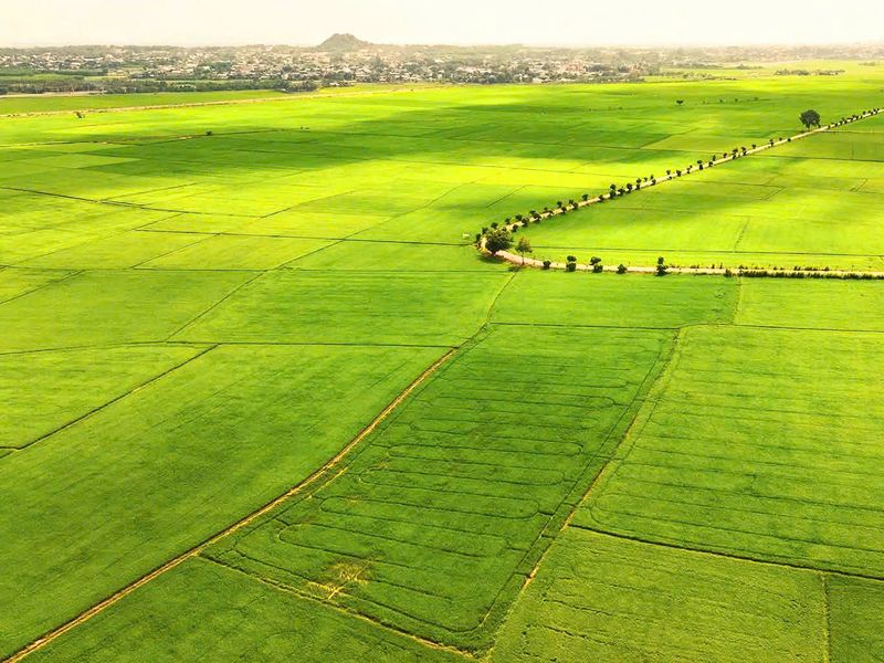 du lịch nông thôn trải nghiệm