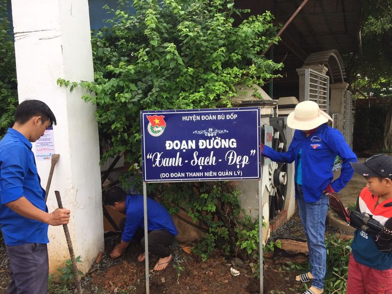 Mô hình đường hoa nông thôn và bồn lọc sinh học