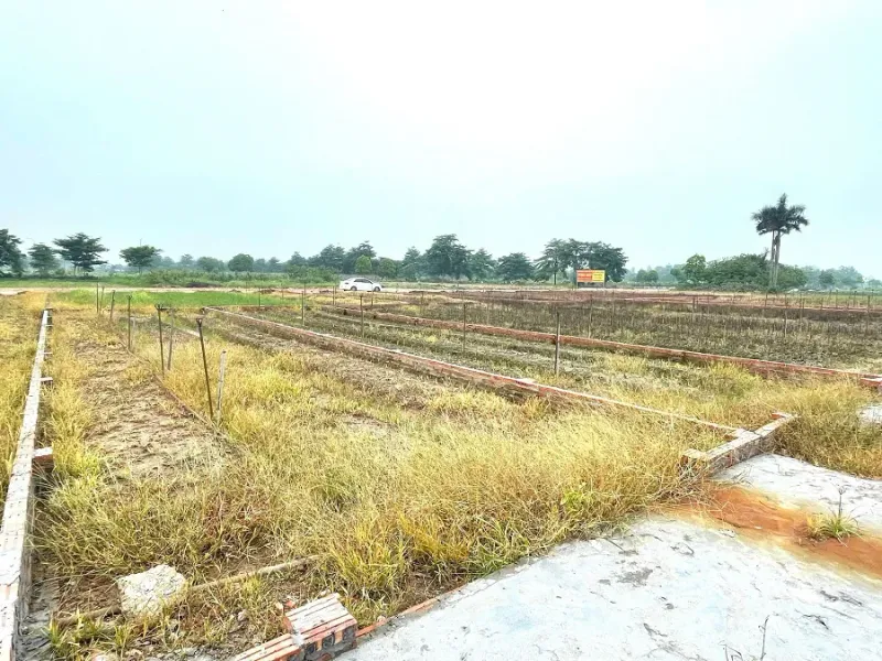 Minh họa quy hoạch và kết nối hạ tầng