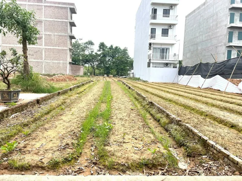 Minh họa đất nền và phát triển khu dân cư