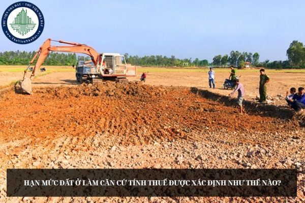 Hạn mức đất ở làm căn cứ tính thuế