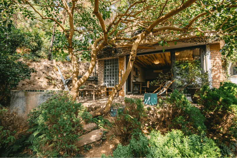 Không gian homestay và sân vườn
