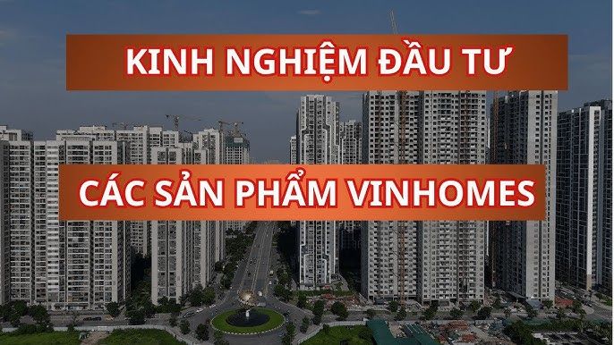 Ảnh minh họa 3