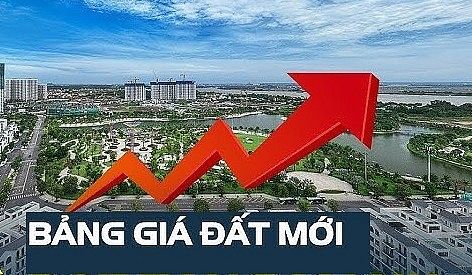 Hoạt động khu vực
