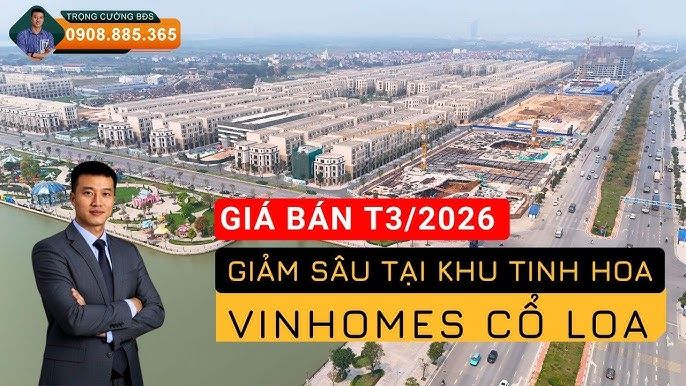 Tổng quan dự án