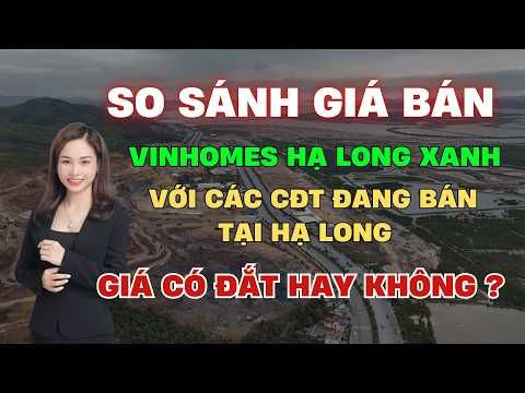 Ảnh minh họa 4