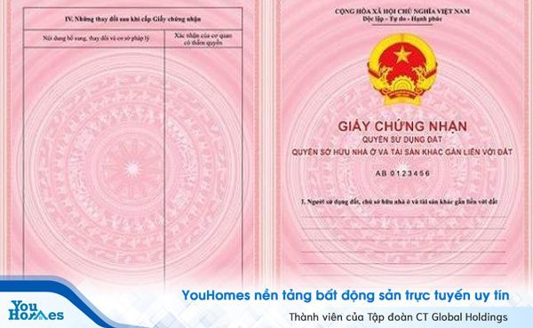 Minh họa 3