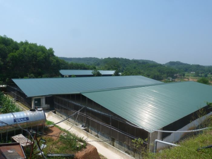 Chuồng trại thiết kế hiện đại, đảm bảo điều kiện vệ sinh và an toàn sinh học