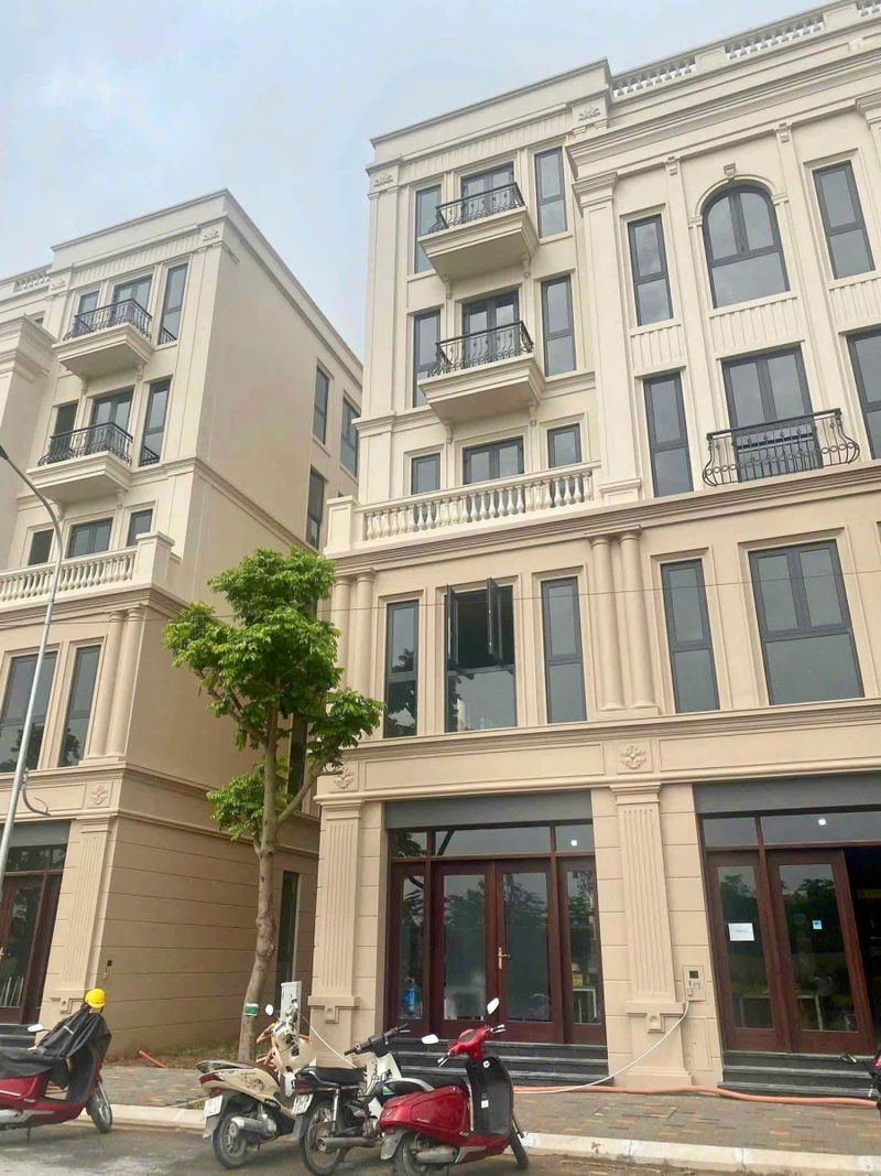 Thông tin dự án