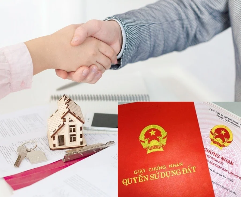Mẫu tài liệu và checklist pháp lý