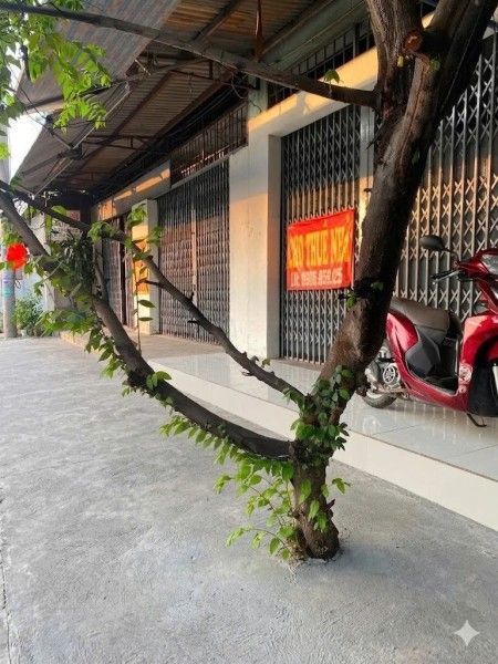Hình ảnh kho bãi và nhà xưởng