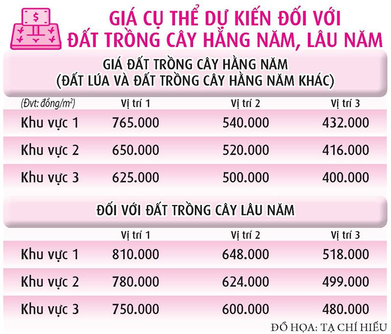 info tổng quan