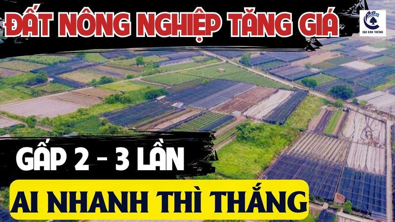 Thị trường và xu hướng