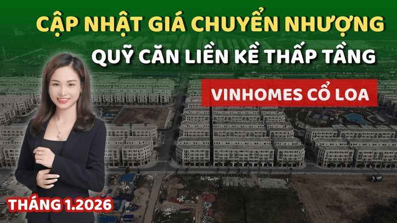 Toàn cảnh dự án