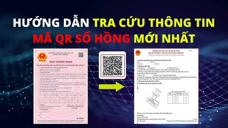 Minh họa 1