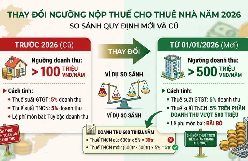 ảnh 5