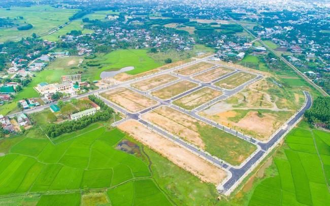 Ảnh minh họa 5