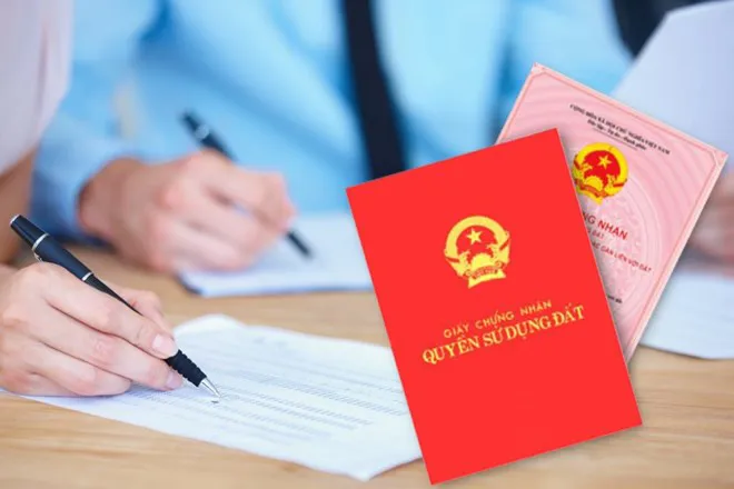 Hình minh họa quy trình