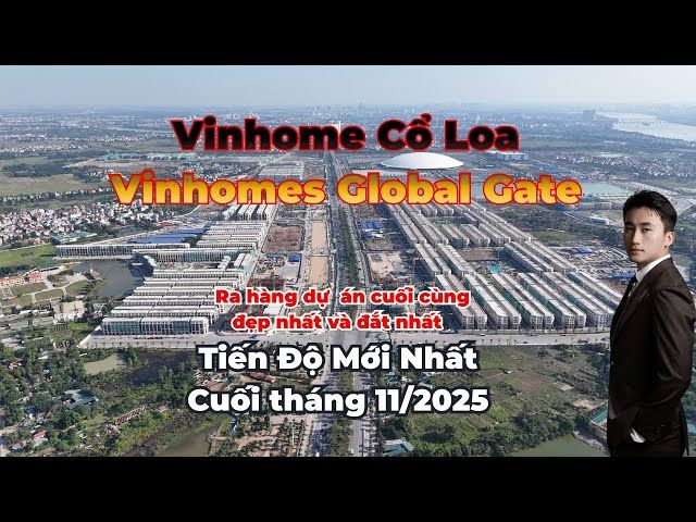 Minh họa giấy tờ pháp lý