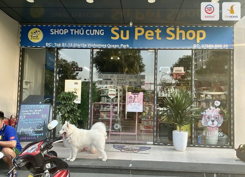 Grooming and shop interior