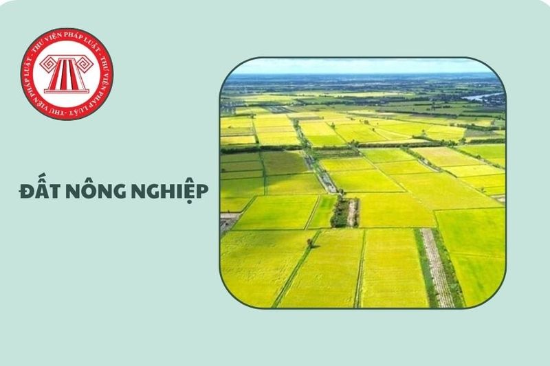 Quy trình thủ tục giảm thuế đất