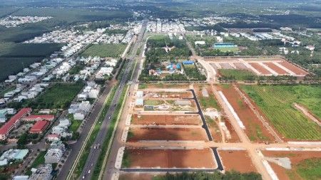 Hoạt động chợ đầu mối