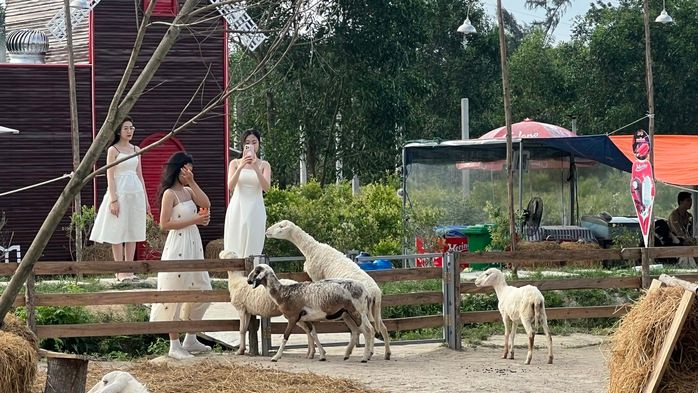 Hệ sinh thái trang trại và du lịch