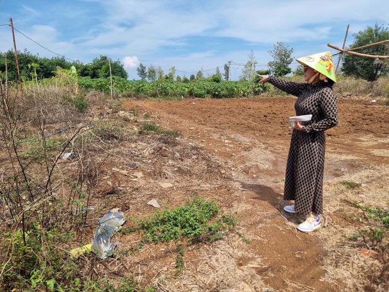 Hiện trạng khu đất và biên bản đo đạc